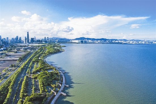 1577084562388066.jpg 深圳.jpg