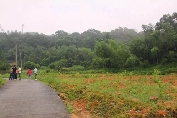 1578034960404726.png image.png